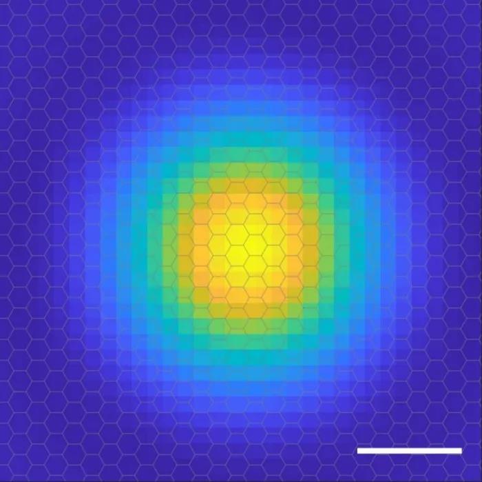 発見されてから1世紀後、人間は初めて励起子の電子軌道画像を捉えました